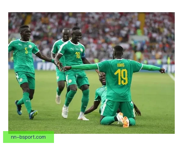 围绕2025非洲杯开幕日看非洲足球崛起与全球球迷激情盛宴纪实